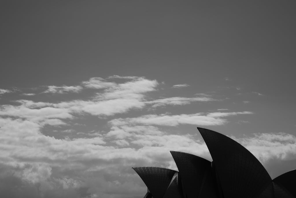 Phantom Of The Opera  // LIMITED EDITION