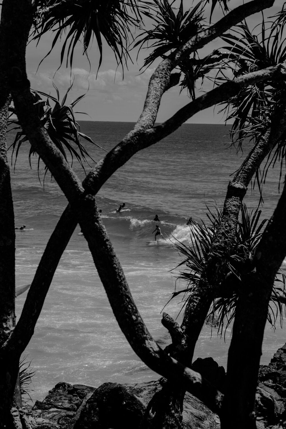 CABARITA BEACH // LIMITED EDITION of 5