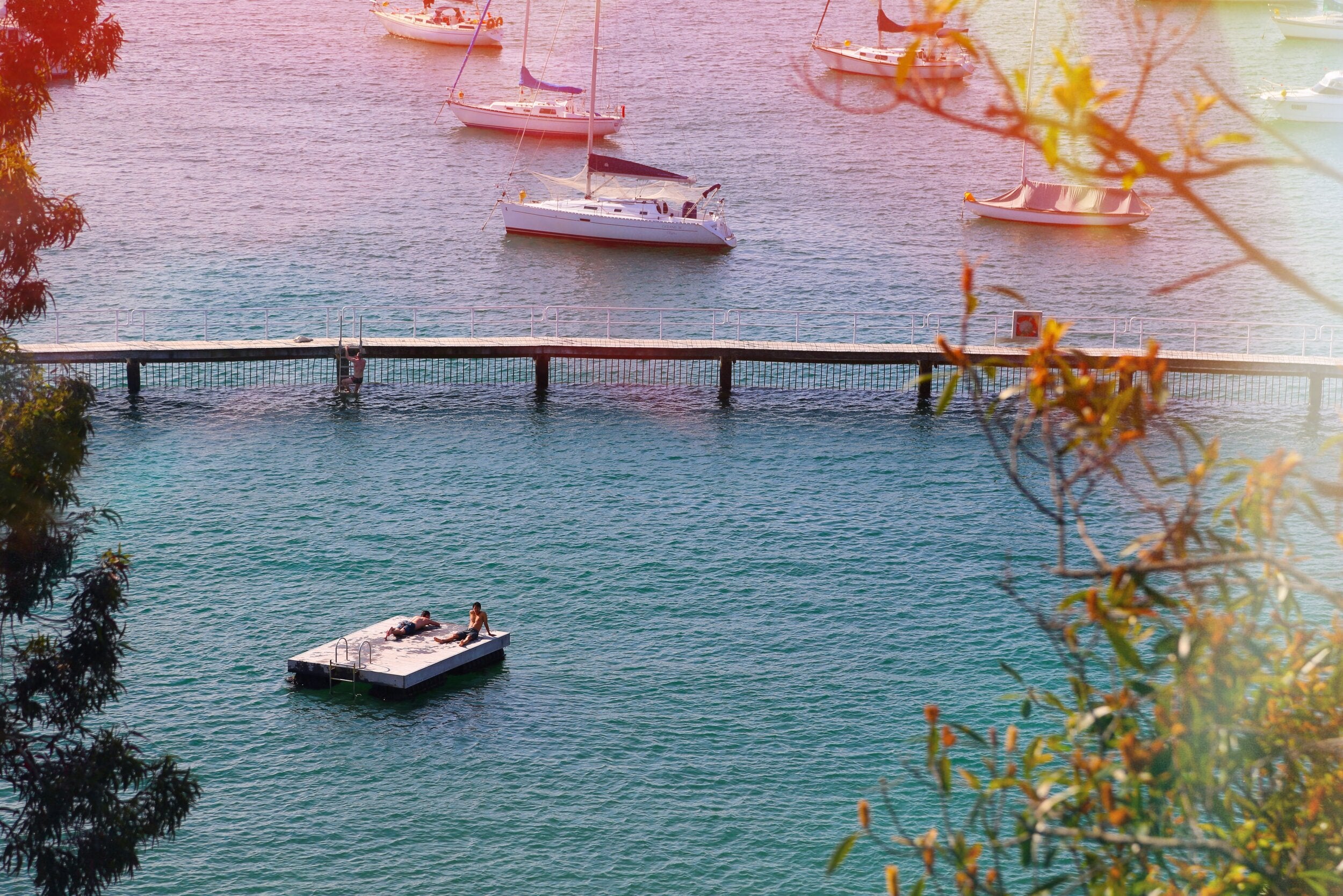 REDLEAF // LIMITED EDITION